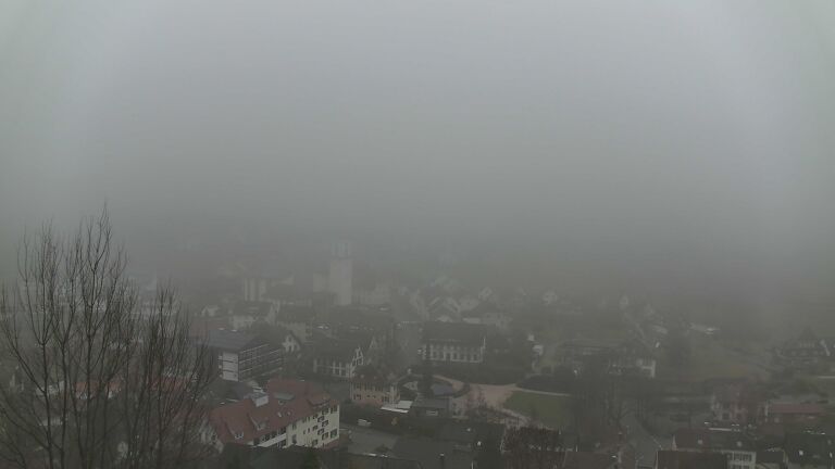 Dieses Bild zeigt eine Webcam-Aufnahme von Ottenhöfen, aufgenommen am Freitag, den 20.02.2026 um 09:10 Uhr