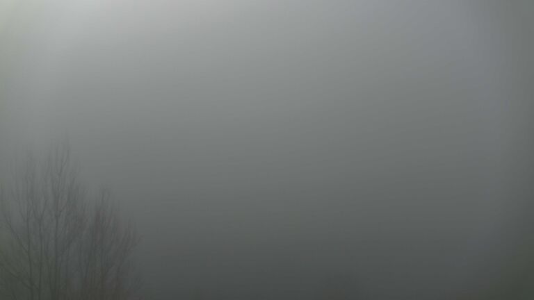 Dieses Bild zeigt eine Webcam-Aufnahme von Ottenhöfen, aufgenommen am Mittwoch, den 25.02.2026 um 10:00 Uhr