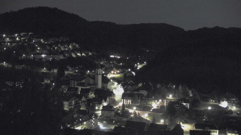 Dieses Bild zeigt eine Webcam-Aufnahme von Ottenhöfen, aufgenommen am Mittwoch, den 29.04.2026 um 01:30 Uhr