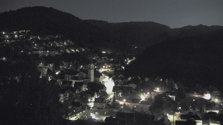 Dieses Bild zeigt eine Webcam-Aufnahme von Ottenhöfen, aufgenommen am Mittwoch, den 29.07.2026 um 02:30 Uhr
