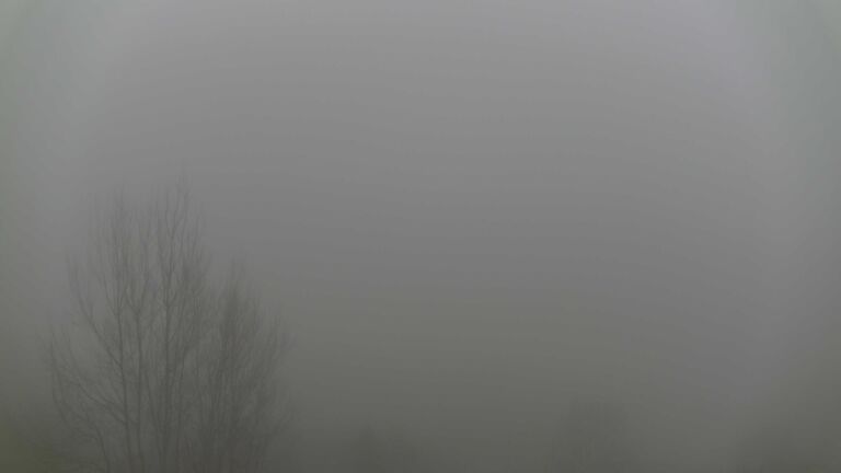 Dieses Bild zeigt eine Webcam-Aufnahme von Ottenhöfen, aufgenommen am Samstag, den 13.12.2025 um 15:00 Uhr