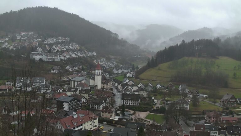 Dieses Bild zeigt eine Webcam-Aufnahme von Ottenhöfen, aufgenommen am Dienstag, den 24.02.2026 um 12:10 Uhr