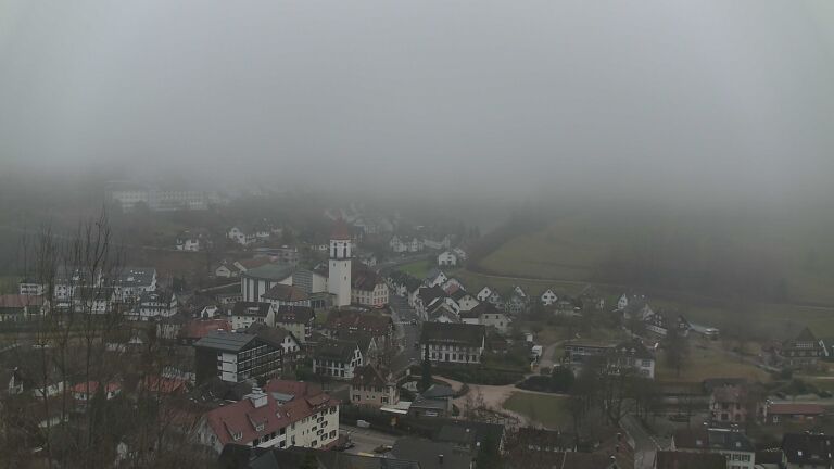 Dieses Bild zeigt eine Webcam-Aufnahme von Ottenhöfen, aufgenommen am Montag, den 02.02.2026 um 16:20 Uhr