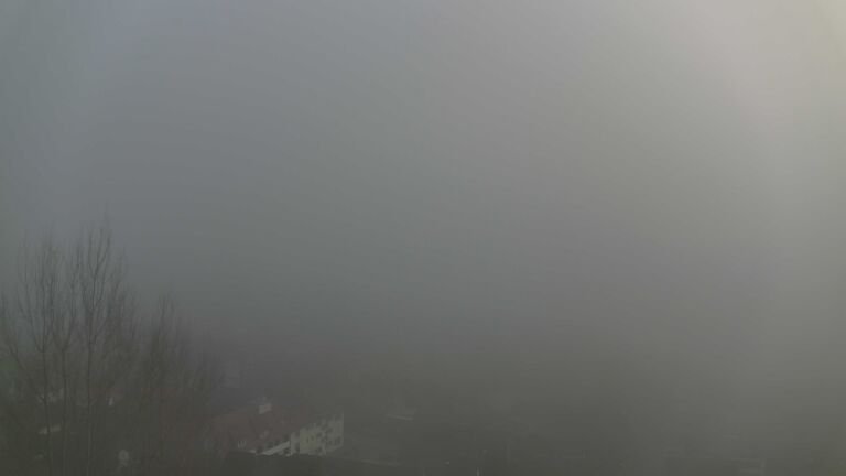 Dieses Bild zeigt eine Webcam-Aufnahme von Ottenhöfen, aufgenommen am Mittwoch, den 25.02.2026 um 17:10 Uhr