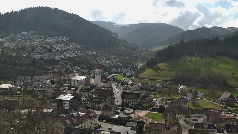 Dieses Bild zeigt eine Webcam-Aufnahme von Ottenhöfen, aufgenommen am Sonntag, den 29.03.2026 um 11:50 Uhr