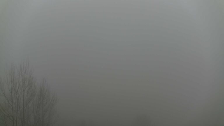 Dieses Bild zeigt eine Webcam-Aufnahme von Ottenhöfen, aufgenommen am Mittwoch, den 28.01.2026 um 12:00 Uhr