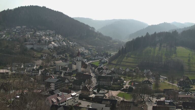 Dieses Bild zeigt eine Webcam-Aufnahme von Ottenhöfen, aufgenommen am Sonntag, den 08.03.2026 um 12:50 Uhr