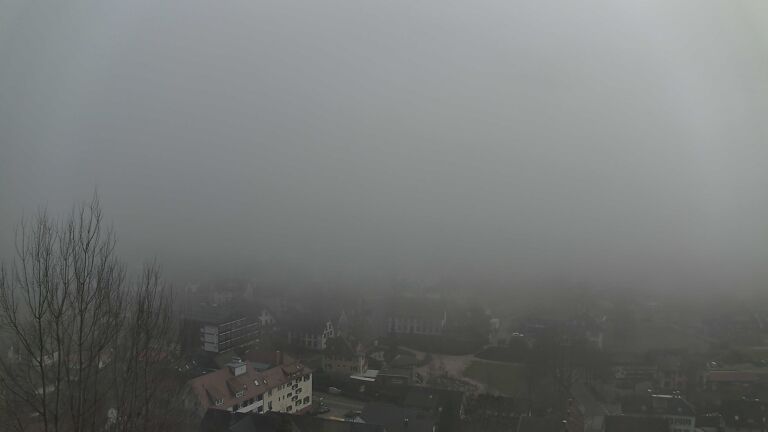 Dieses Bild zeigt eine Webcam-Aufnahme von Ottenhöfen, aufgenommen am Montag, den 02.02.2026 um 14:40 Uhr