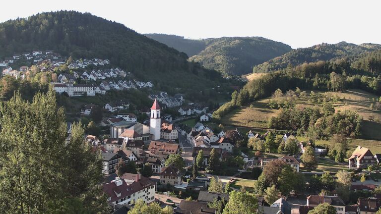 Dieses Bild zeigt eine Webcam-Aufnahme von Ottenhöfen, aufgenommen am Freitag, den 04.09.2026 um 08:20 Uhr