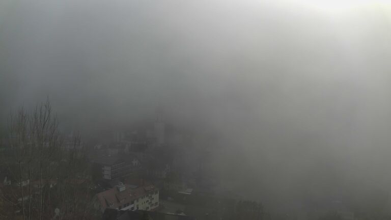 Dieses Bild zeigt eine Webcam-Aufnahme von Ottenhöfen, aufgenommen am Sonntag, den 08.02.2026 um 13:50 Uhr