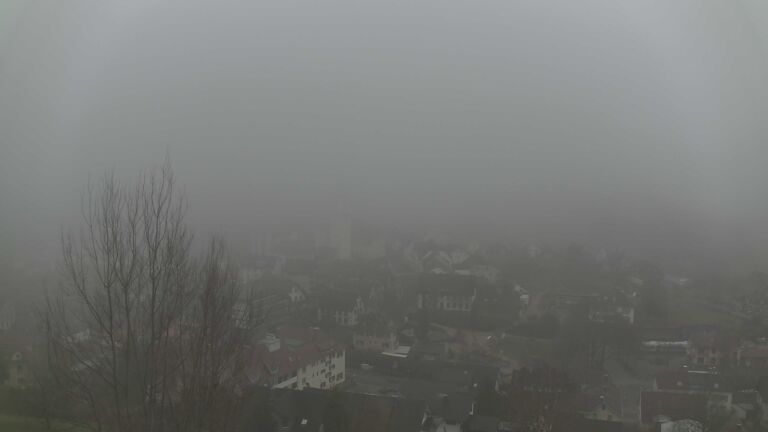 Dieses Bild zeigt eine Webcam-Aufnahme von Ottenhöfen, aufgenommen am Dienstag, den 16.12.2025 um 11:50 Uhr