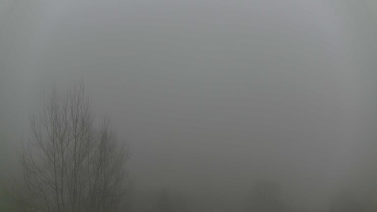 Dieses Bild zeigt eine Webcam-Aufnahme von Ottenhöfen, aufgenommen am Samstag, den 13.12.2025 um 14:50 Uhr