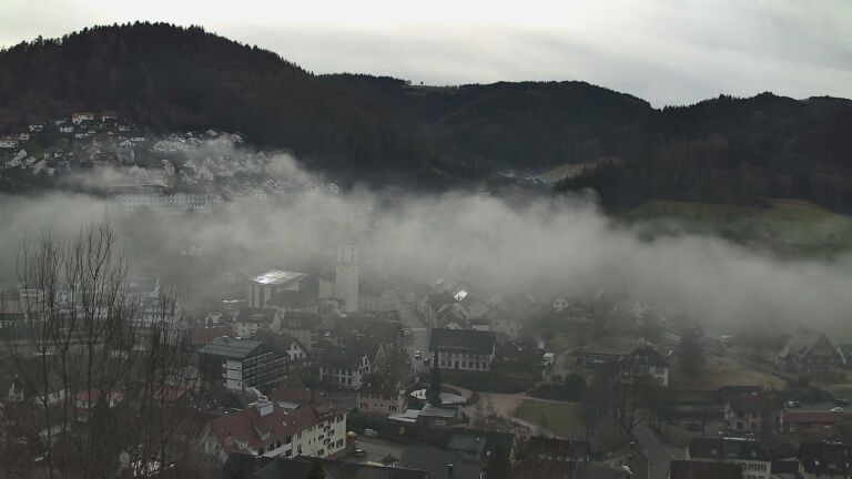 Dieses Bild zeigt eine Webcam-Aufnahme von Ottenhöfen, aufgenommen am Mittwoch, den 04.02.2026 um 10:30 Uhr