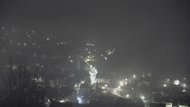 Dieses Bild zeigt eine Webcam-Aufnahme von Ottenhöfen, aufgenommen am Donnerstag, den 29.01.2026 um 02:30 Uhr