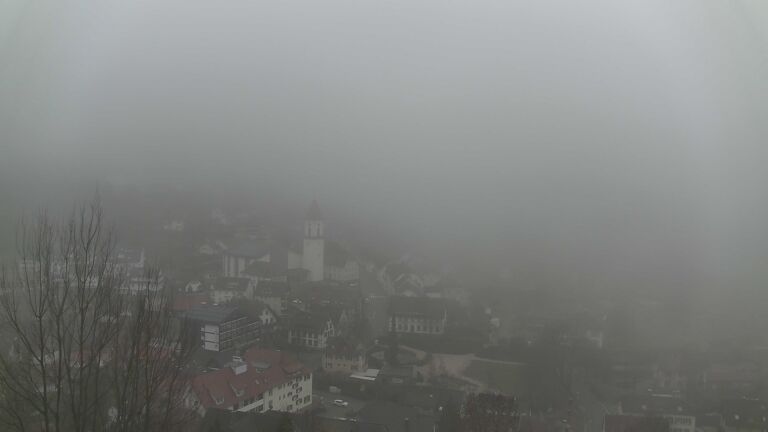 Dieses Bild zeigt eine Webcam-Aufnahme von Ottenhöfen, aufgenommen am Freitag, den 20.02.2026 um 08:10 Uhr