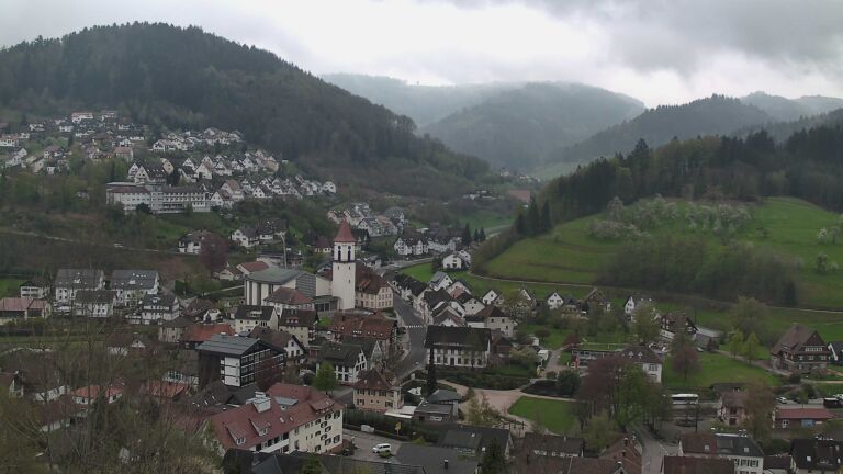 Dieses Bild zeigt eine Webcam-Aufnahme von Ottenhöfen, aufgenommen am Dienstag, den 14.04.2026 um 12:30 Uhr