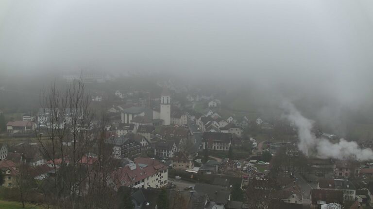 Dieses Bild zeigt eine Webcam-Aufnahme von Ottenhöfen, aufgenommen am Sonntag, den 14.12.2025 um 11:50 Uhr