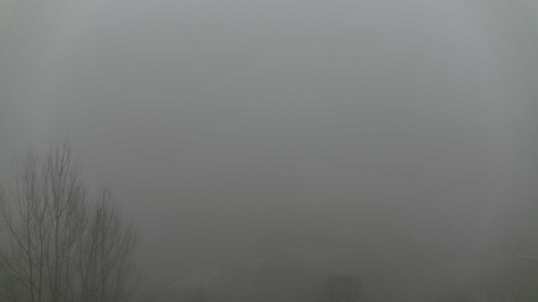 Dieses Bild zeigt eine Webcam-Aufnahme von Ottenhöfen, aufgenommen am Mittwoch, den 28.01.2026 um 09:10 Uhr