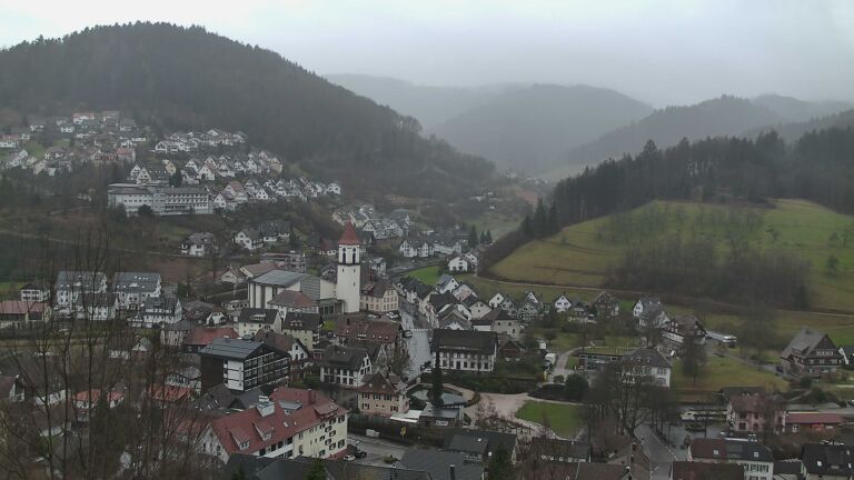 Dieses Bild zeigt eine Webcam-Aufnahme von Ottenhöfen, aufgenommen am Samstag, den 21.02.2026 um 09:50 Uhr