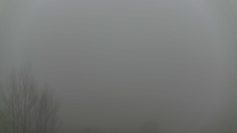 Dieses Bild zeigt eine Webcam-Aufnahme von Ottenhöfen, aufgenommen am Mittwoch, den 28.01.2026 um 14:30 Uhr