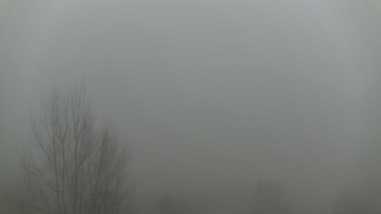 Dieses Bild zeigt eine Webcam-Aufnahme von Ottenhöfen, aufgenommen am Sonntag, den 14.12.2025 um 08:00 Uhr