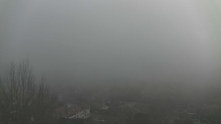 Dieses Bild zeigt eine Webcam-Aufnahme von Ottenhöfen, aufgenommen am Montag, den 02.02.2026 um 14:30 Uhr