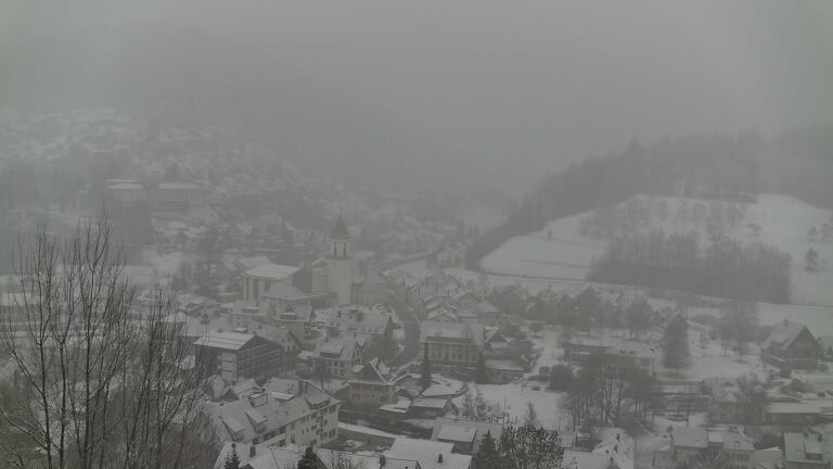 Dieses Bild zeigt eine Webcam-Aufnahme von Ottenhöfen, aufgenommen am Samstag, den 10.01.2026 um 11:00 Uhr