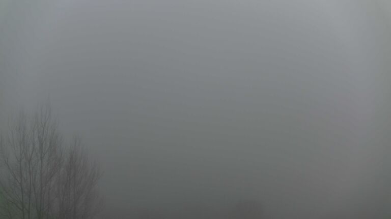 Dieses Bild zeigt eine Webcam-Aufnahme von Ottenhöfen, aufgenommen am Mittwoch, den 25.02.2026 um 17:30 Uhr