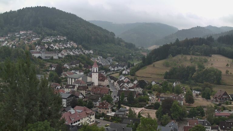 Dieses Bild zeigt eine Webcam-Aufnahme von Ottenhöfen, aufgenommen am Montag, den 17.08.2026 um 11:30 Uhr
