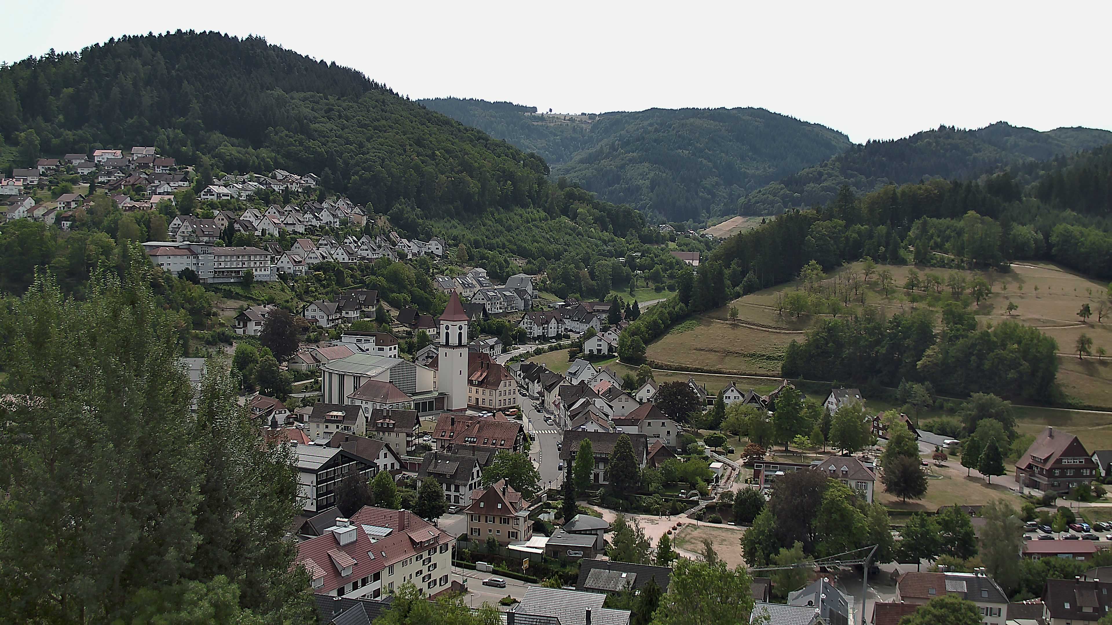 Zum Fotoarchiv vom Sonntag, 9. August 2026