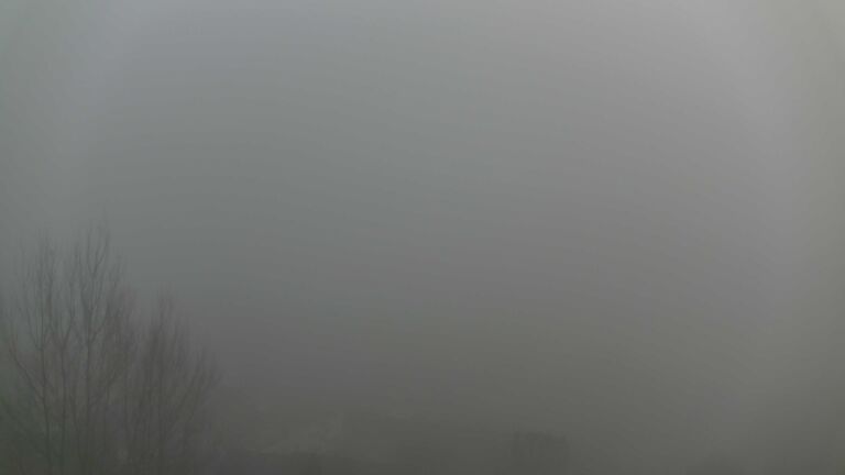 Dieses Bild zeigt eine Webcam-Aufnahme von Ottenhöfen, aufgenommen am Sonntag, den 21.12.2025 um 16:20 Uhr