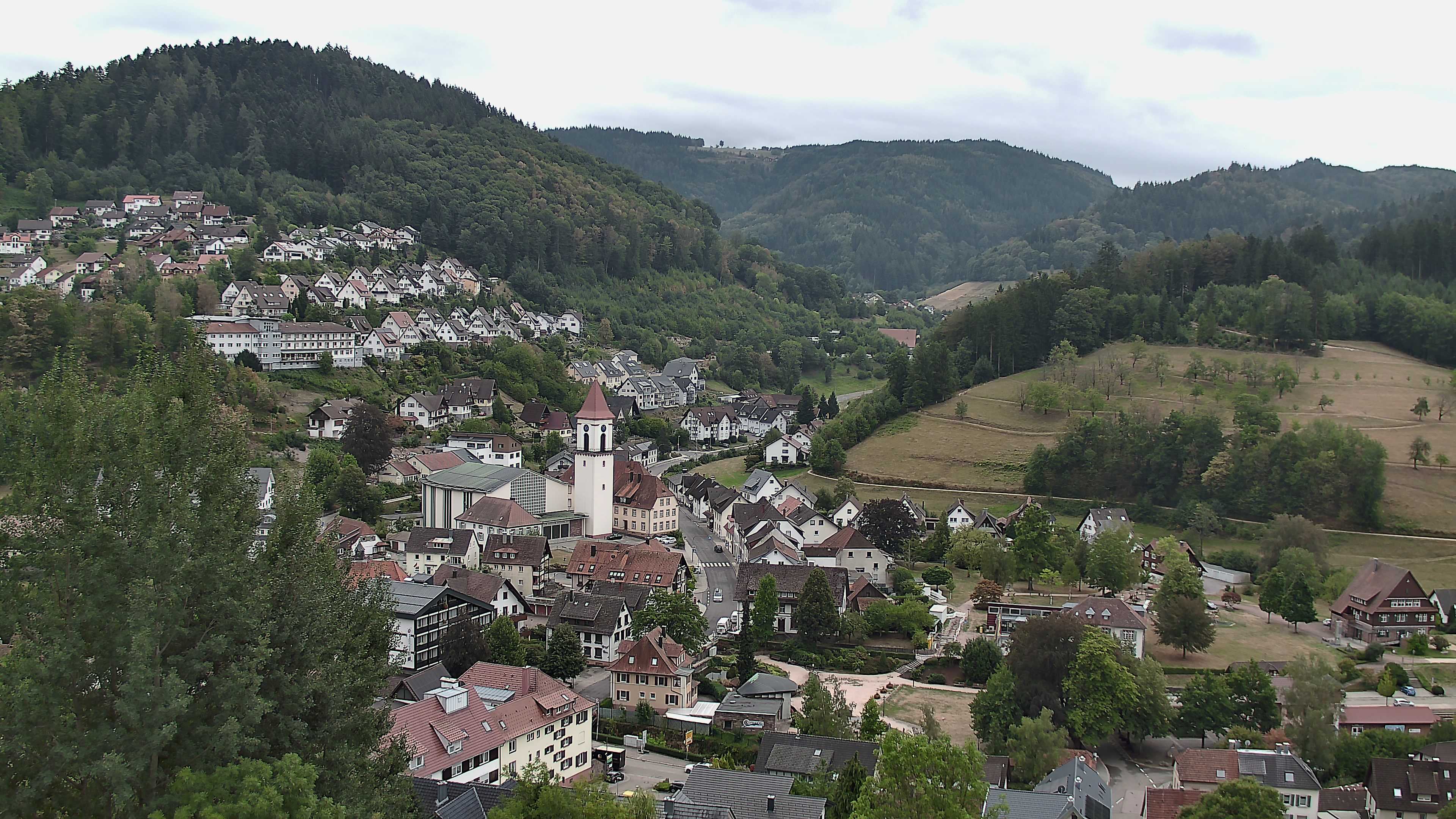 Zum Fotoarchiv vom Dienstag, 25. August 2026