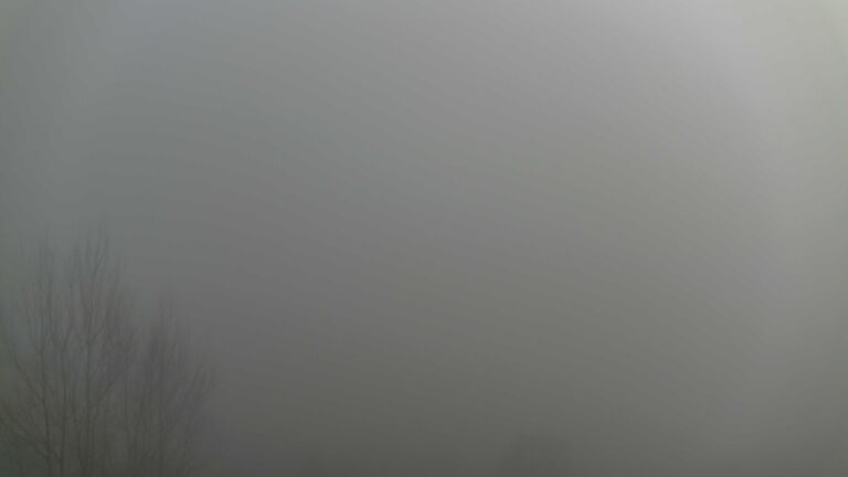 Dieses Bild zeigt eine Webcam-Aufnahme von Ottenhöfen, aufgenommen am Sonntag, den 21.12.2025 um 14:30 Uhr