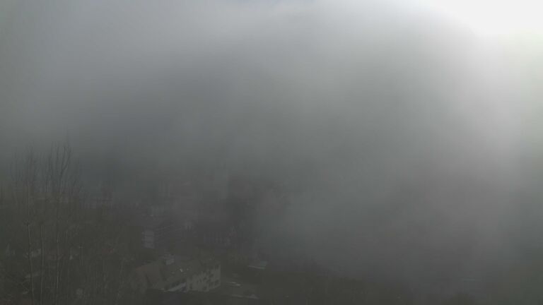 Dieses Bild zeigt eine Webcam-Aufnahme von Ottenhöfen, aufgenommen am Sonntag, den 08.02.2026 um 14:30 Uhr