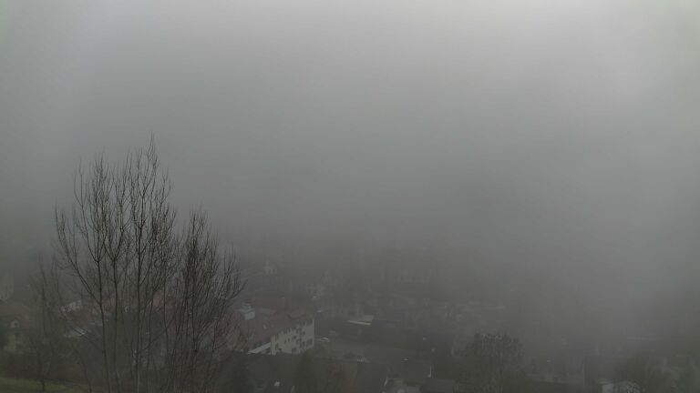 Dieses Bild zeigt eine Webcam-Aufnahme von Ottenhöfen, aufgenommen am Samstag, den 13.12.2025 um 13:50 Uhr