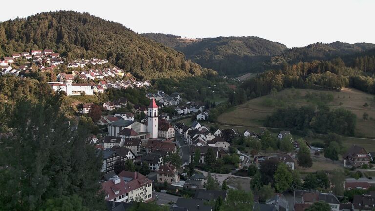 Dieses Bild zeigt eine Webcam-Aufnahme von Ottenhöfen, aufgenommen am Dienstag, den 11.08.2026 um 20:00 Uhr