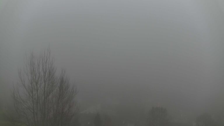 Dieses Bild zeigt eine Webcam-Aufnahme von Ottenhöfen, aufgenommen am Samstag, den 13.12.2025 um 16:20 Uhr