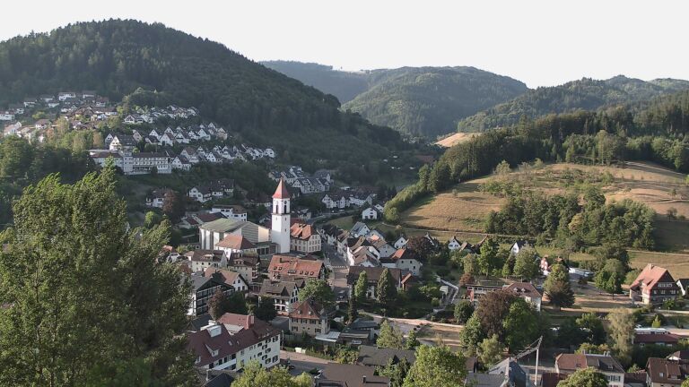 Dieses Bild zeigt eine Webcam-Aufnahme von Ottenhöfen, aufgenommen am Dienstag, den 11.08.2026 um 07:50 Uhr