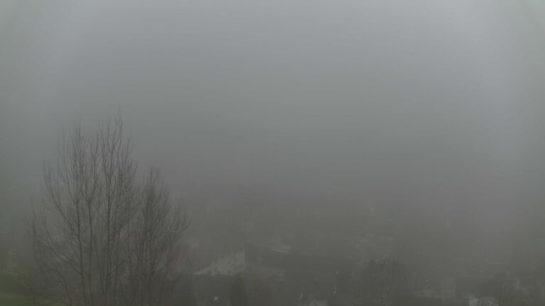 Dieses Bild zeigt eine Webcam-Aufnahme von Ottenhöfen, aufgenommen am Sonntag, den 14.12.2025 um 13:20 Uhr