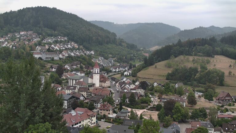 Dieses Bild zeigt eine Webcam-Aufnahme von Ottenhöfen, aufgenommen am Montag, den 17.08.2026 um 09:50 Uhr