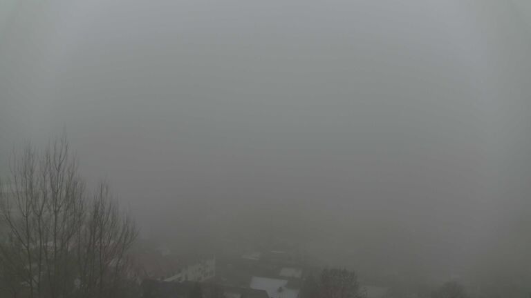 Dieses Bild zeigt eine Webcam-Aufnahme von Ottenhöfen, aufgenommen am Montag, den 29.12.2025 um 16:10 Uhr