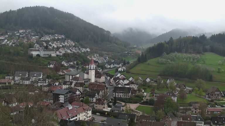 Dieses Bild zeigt eine Webcam-Aufnahme von Ottenhöfen, aufgenommen am Dienstag, den 14.04.2026 um 10:50 Uhr