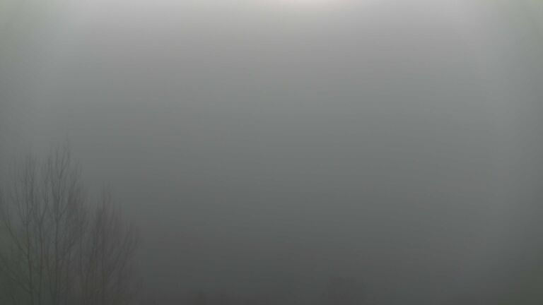 Dieses Bild zeigt eine Webcam-Aufnahme von Ottenhöfen, aufgenommen am Sonntag, den 21.12.2025 um 11:30 Uhr