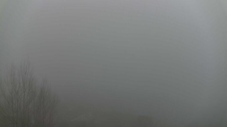Dieses Bild zeigt eine Webcam-Aufnahme von Ottenhöfen, aufgenommen am Mittwoch, den 25.02.2026 um 17:20 Uhr