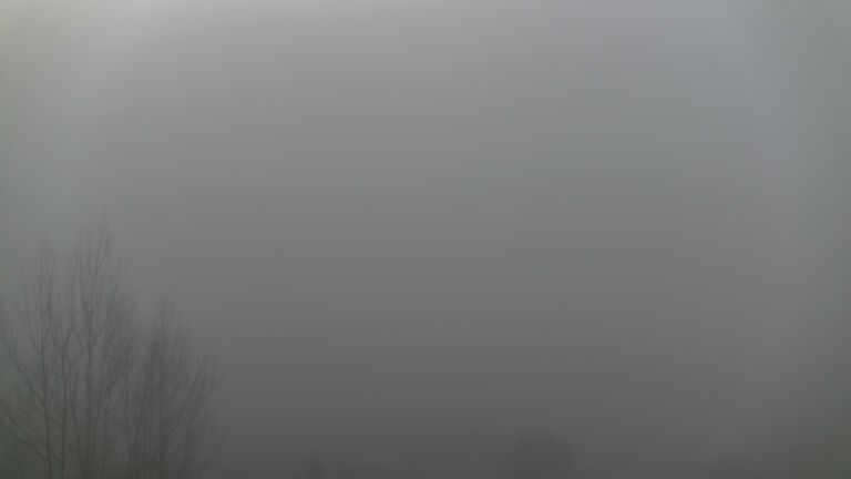 Dieses Bild zeigt eine Webcam-Aufnahme von Ottenhöfen, aufgenommen am Sonntag, den 21.12.2025 um 10:50 Uhr