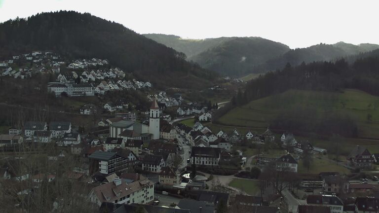 Dieses Bild zeigt eine Webcam-Aufnahme von Ottenhöfen, aufgenommen am Samstag, den 07.02.2026 um 12:30 Uhr