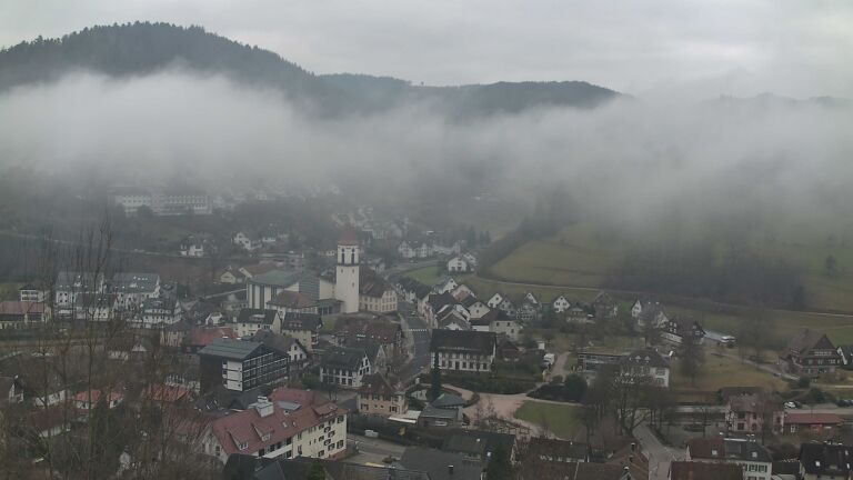 Dieses Bild zeigt eine Webcam-Aufnahme von Ottenhöfen, aufgenommen am Montag, den 09.02.2026 um 11:20 Uhr