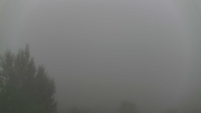 Dieses Bild zeigt eine Webcam-Aufnahme von Ottenhöfen, aufgenommen am Montag, den 19.10.2026 um 08:10 Uhr