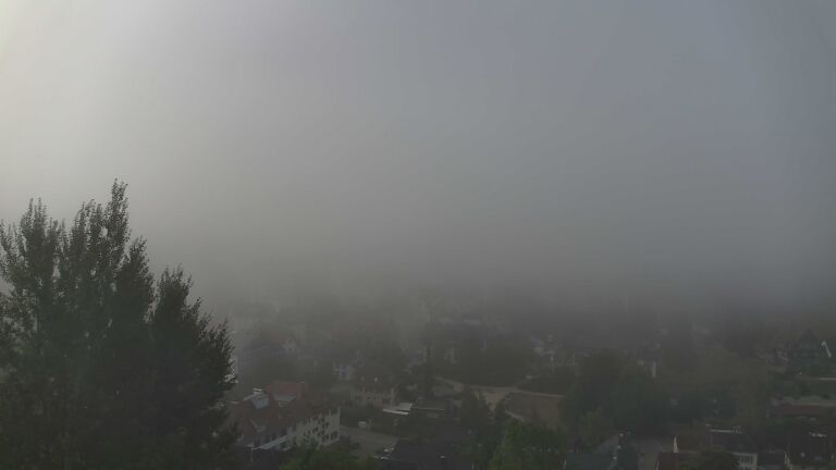 Dieses Bild zeigt eine Webcam-Aufnahme von Ottenhöfen, aufgenommen am Mittwoch, den 26.08.2026 um 08:00 Uhr