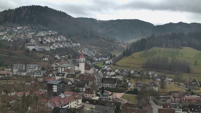 Dieses Bild zeigt eine Webcam-Aufnahme von Ottenhöfen, aufgenommen am Sonntag, den 01.02.2026 um 11:50 Uhr